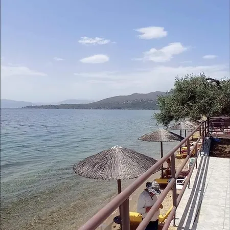 Makris * Gialtra